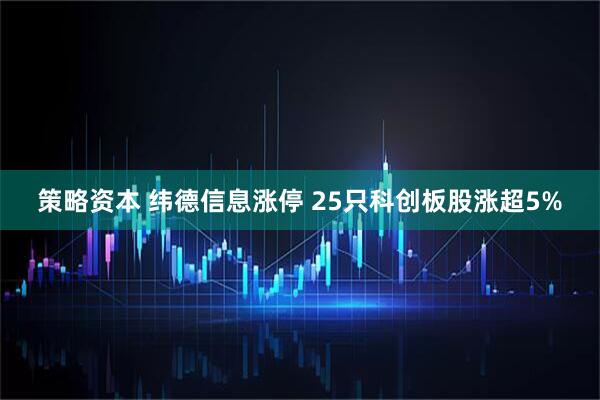 策略资本 纬德信息涨停 25只科创板股涨超5%